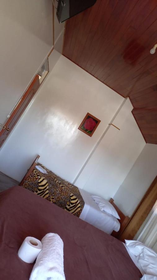 Suzet House Guest House Oxapampa Exterior photo